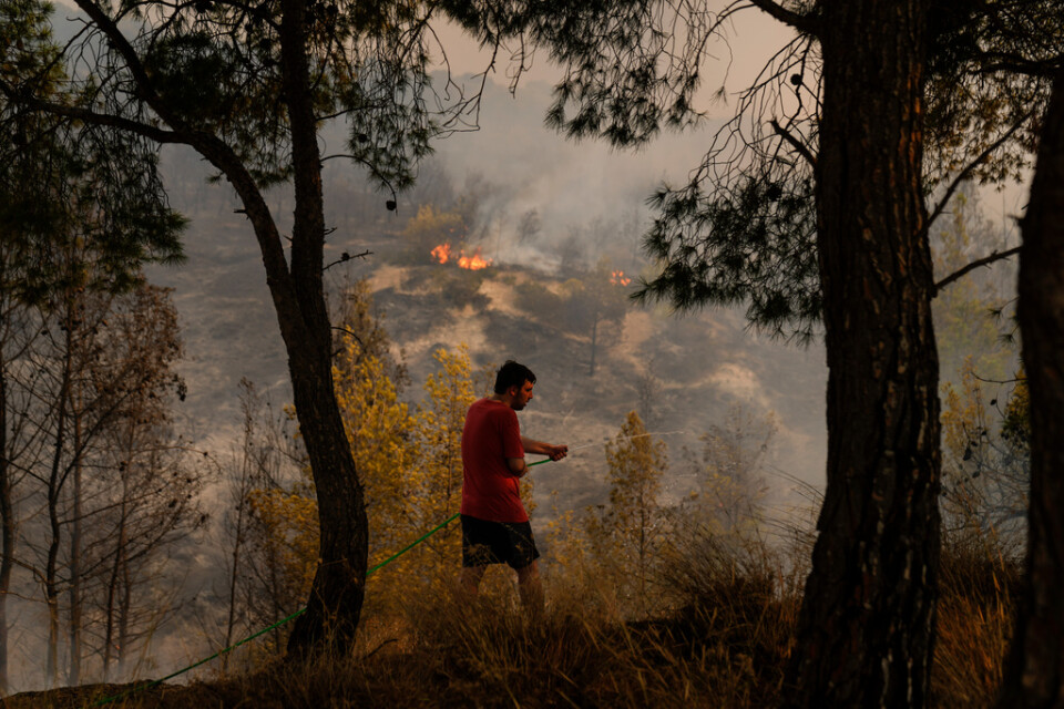 En man försöker släcka en brand väster om Greklands huvudstad Aten.