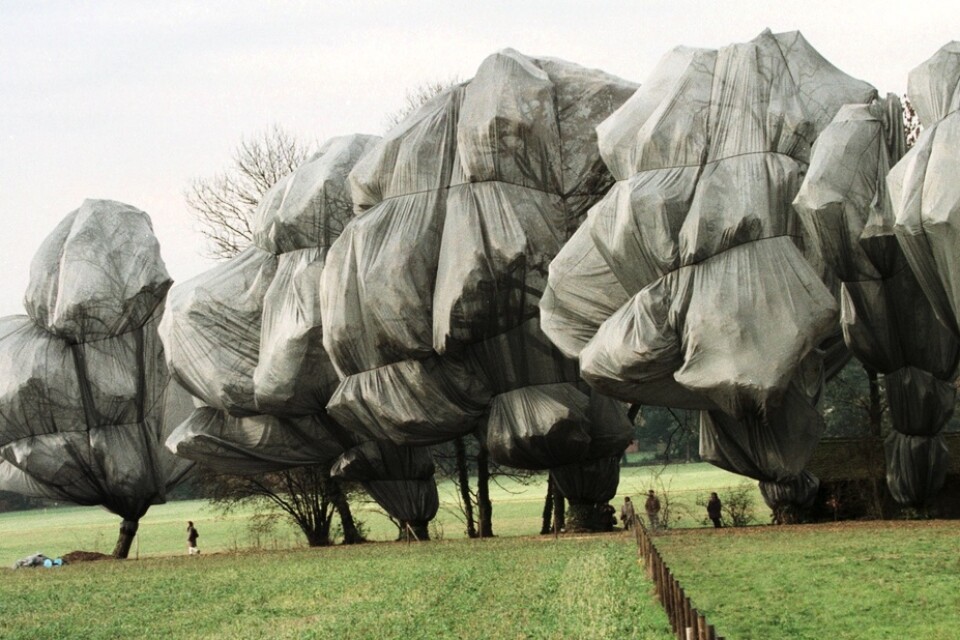 Konstverket "Wrapped trees" i Riehen, Schweiz, 1998. Arkivbild.