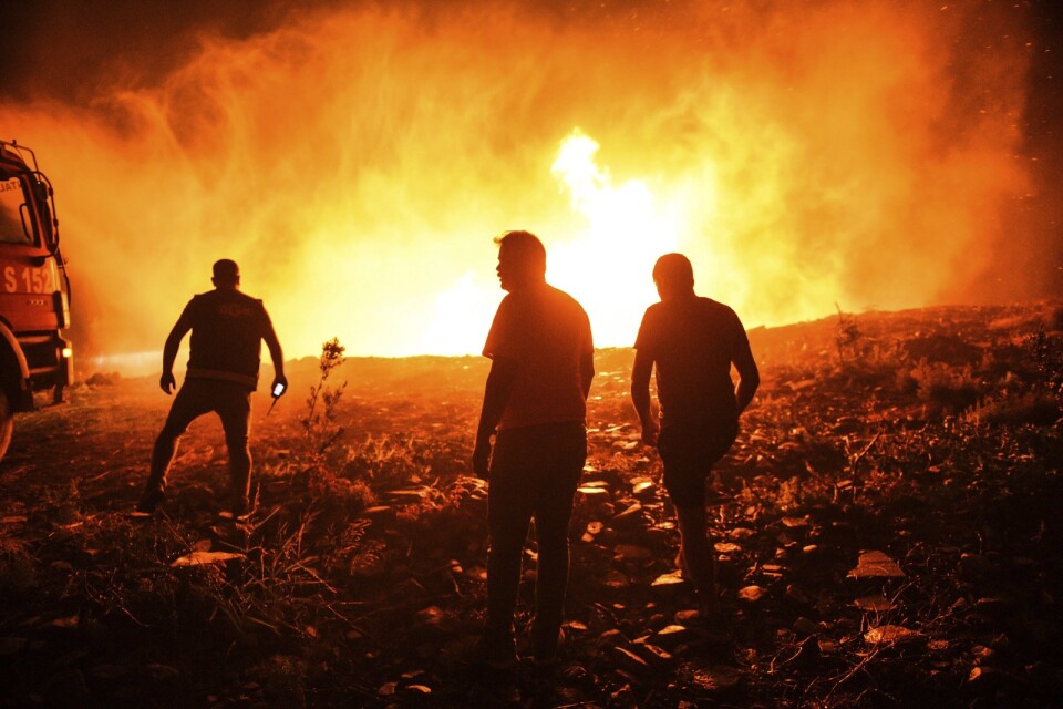 Brandmän och bybor kämpar mot lågorna i byn Kirli, nära staden Manavgat. Det är bara en i raden av bränder som har brutit ut längs med Turkiets sydkust.