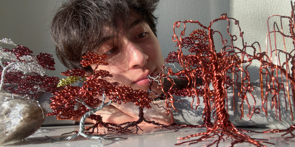 Johannes, 18, skapar bonsaiträd av metalltråd: ”Bara varit positiv respons”