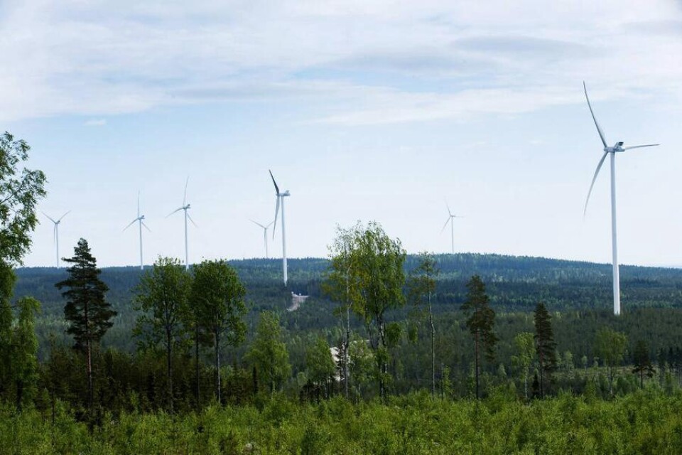 Att bli omringad av 200 stycken vindkraftverk känns inte bra. Foto: Lars Pehrson /SvD /tt