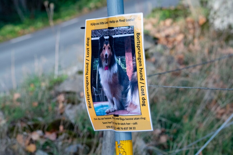Leela har varit försvunnen sedan oktober förra året.
