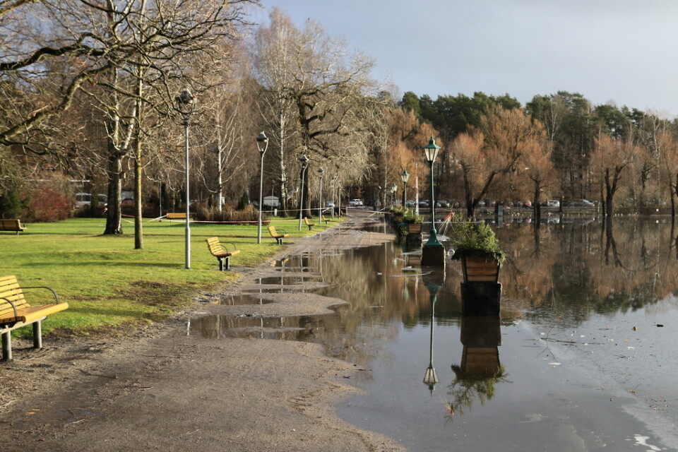 Stora regnmängder har fått vattnet att stiga över kajkanten i stadsparken i Arvika.