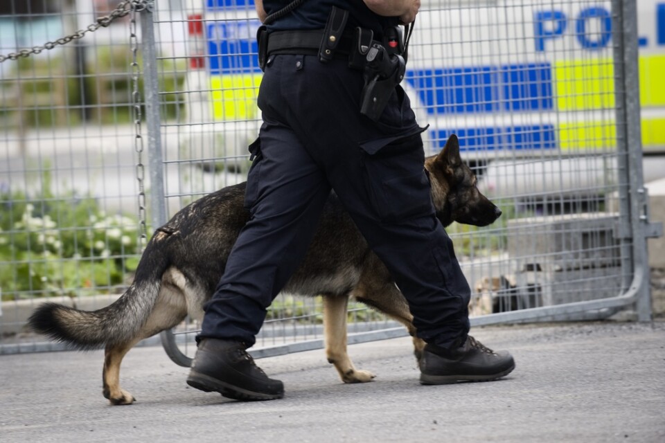 En polishund hittade en misstänkt inbrottstjuv som låg och sov i en buske i Umeå. Nu har mannen dömts till två månaders fängelse. Arkivbild.