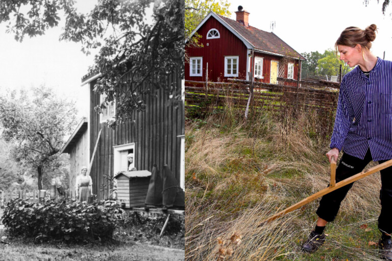Så ska historiska trädgårdar återskapas i Stensjö by