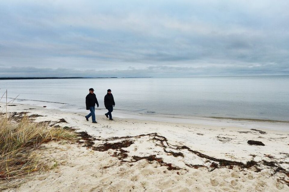 Hanöbuktens tillstånd oroar. Swedish Coast and Sea Center utför bland annat dykningar för att få reda på förekomsten av tungmetaller.