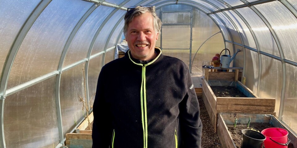 De flyttade från Tyskland till Sverige för att bli bönder: ”Jag ville ändra lite på mitt liv”