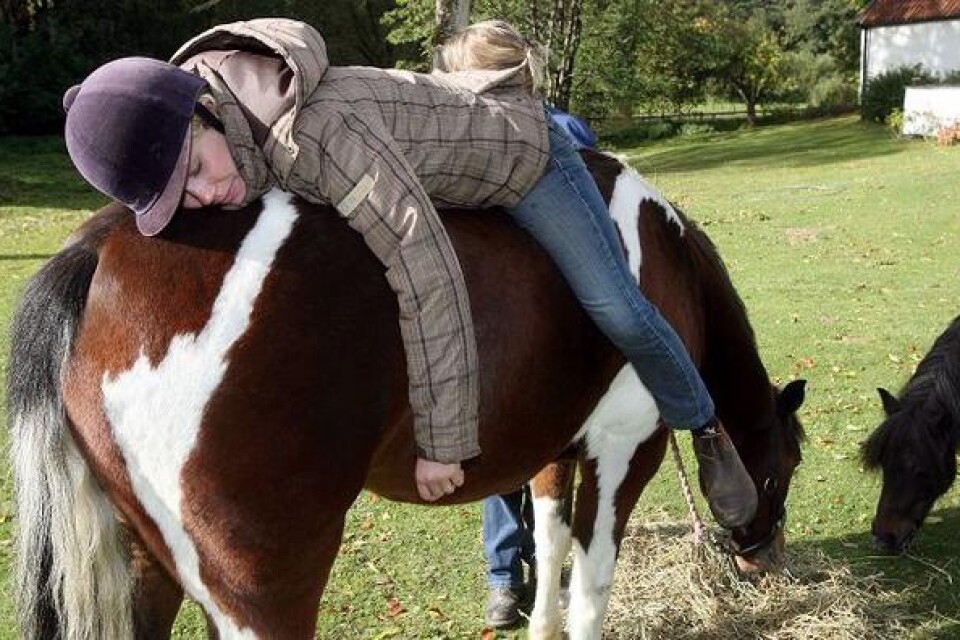 Trots att en del deltagare är rädda för hästar när de kommer, vågar alla göra avslappningsövningen som Birgitta Jacobsson visar. Det är som att hon omfamnar hästen JK och kan låna lite av hans trygghet och styrka.