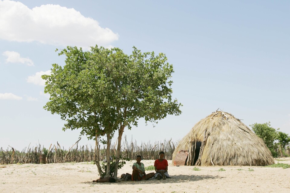 Två botswanska kvinnor söker skydd från solen i centrala Kalahari. Kvinnor dominerar inom landets lantbruk och nu stärks deras rätt till mark. Arkivbild.