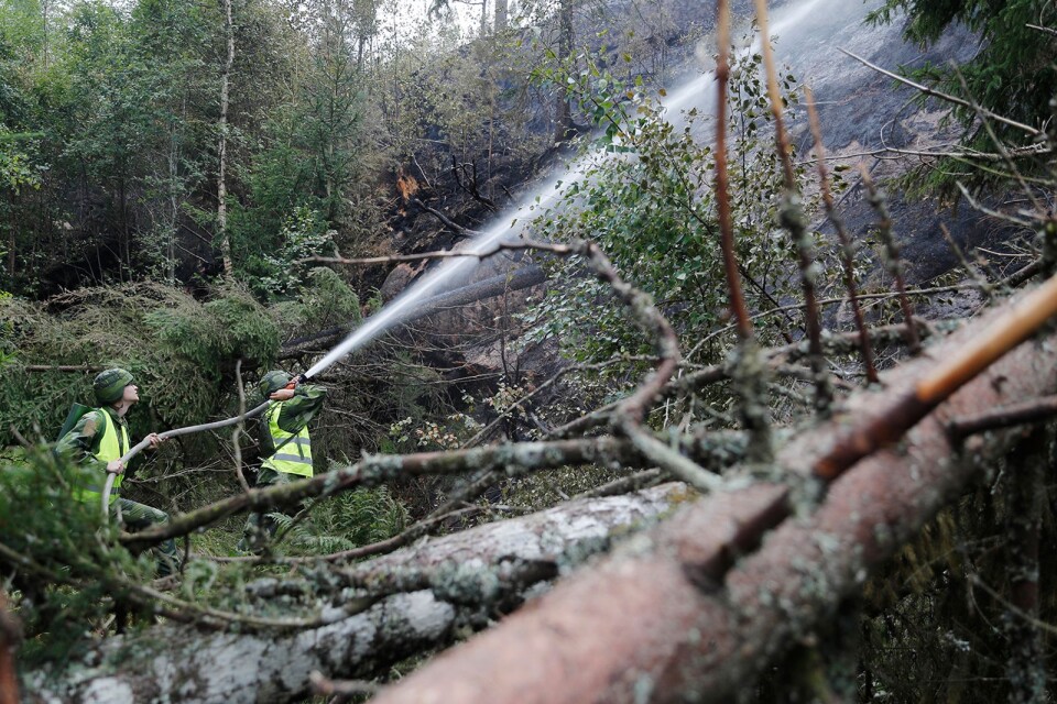Hemvärnet deltog i bekämpningen av 2018 års många skogsbränder.