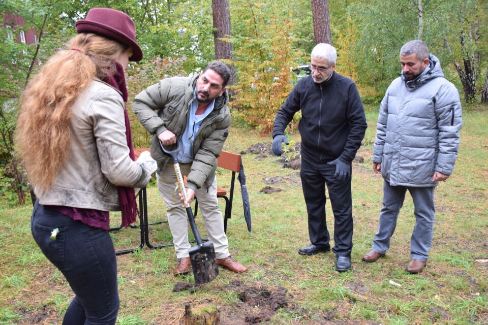Everyone helps with the digging in the language garden. From left: Ditte Nicklasson Hultén, Mahmoud Annos, Anas Jarrar and Adam Shammari.