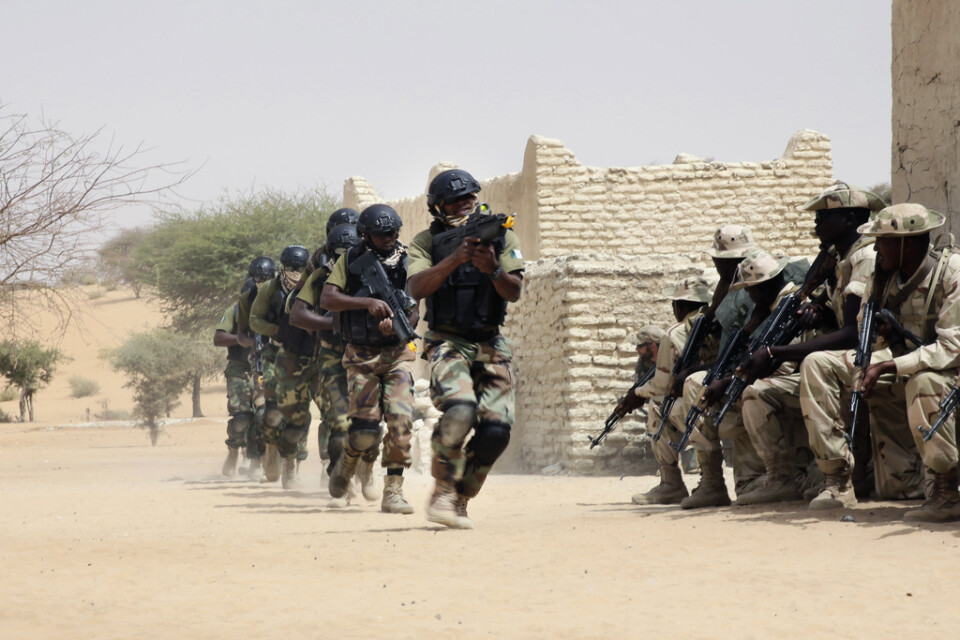 Soldater från Niger och Tchad i en gemensam övning 2015.