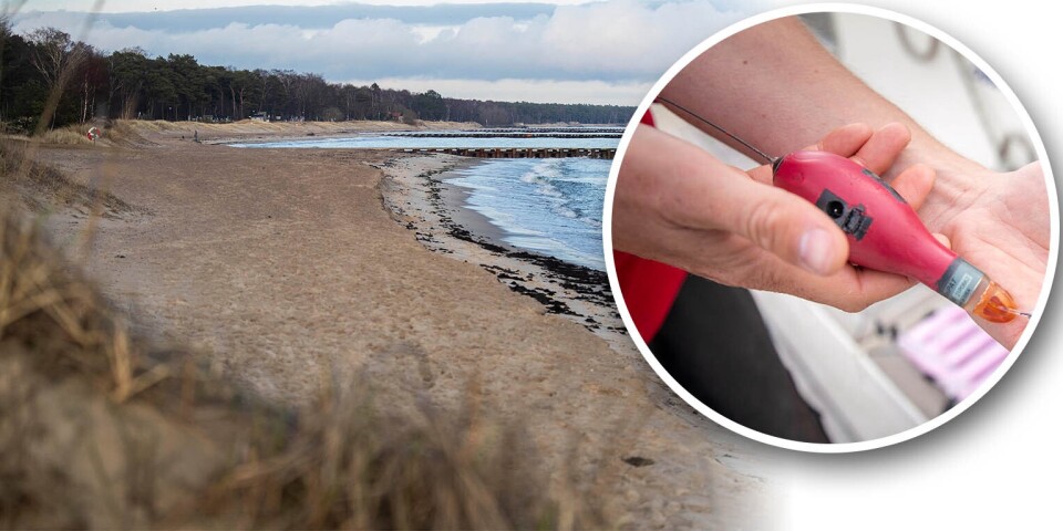 Tonfisk-sändare kan flyta iland i Ystad – och ge flera tusen i hittelön