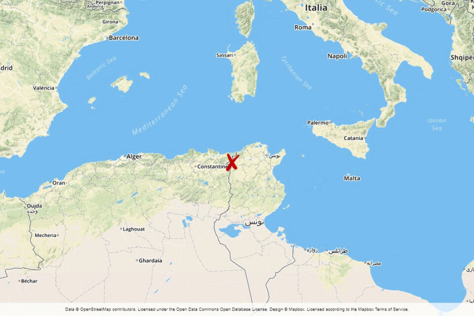 Olyckan inträffade i Jendouba-regionen i nordvästra Tunisien.