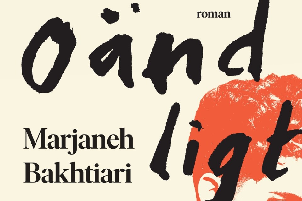 Marjaneh Bakhtiari roman "Oändligt underbart" (2022)