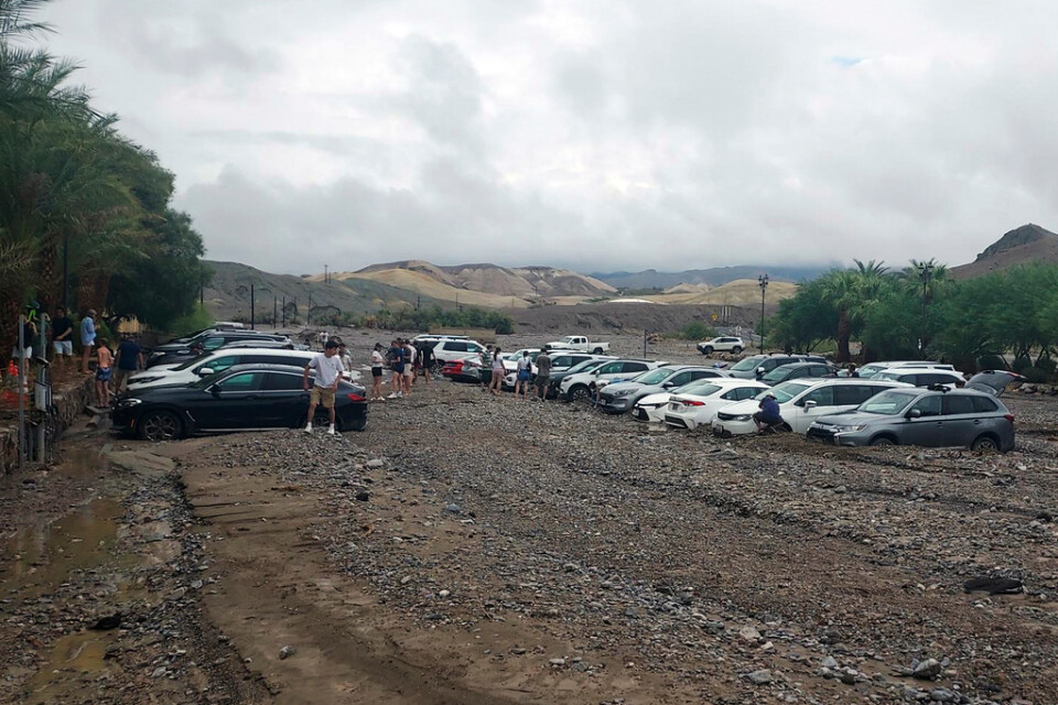 Ett 60-tal fordon i nationalparken Death Valley fastnade efter störtskurarna.