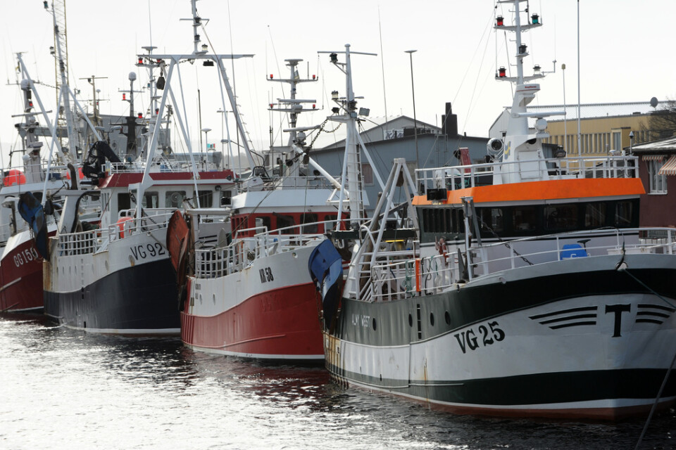 Karlskrona 2008: Fiskebåtar på rad vid Saltö. Hur kommer det se ut framöver?
