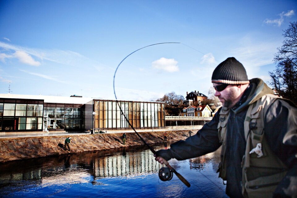 På lördag är det dags för fiskepremiär i Ronnebyån.