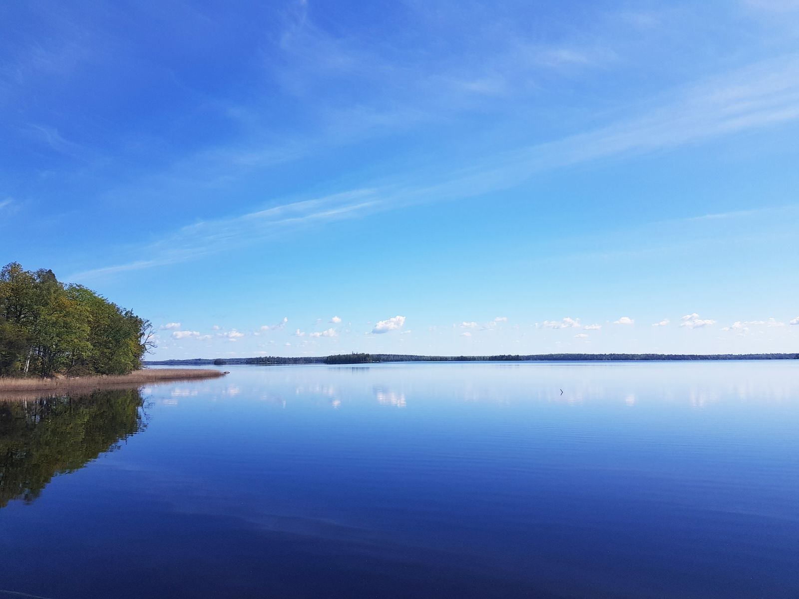 Sjön Åsnen ligger helt vindstilla och spegelblank.