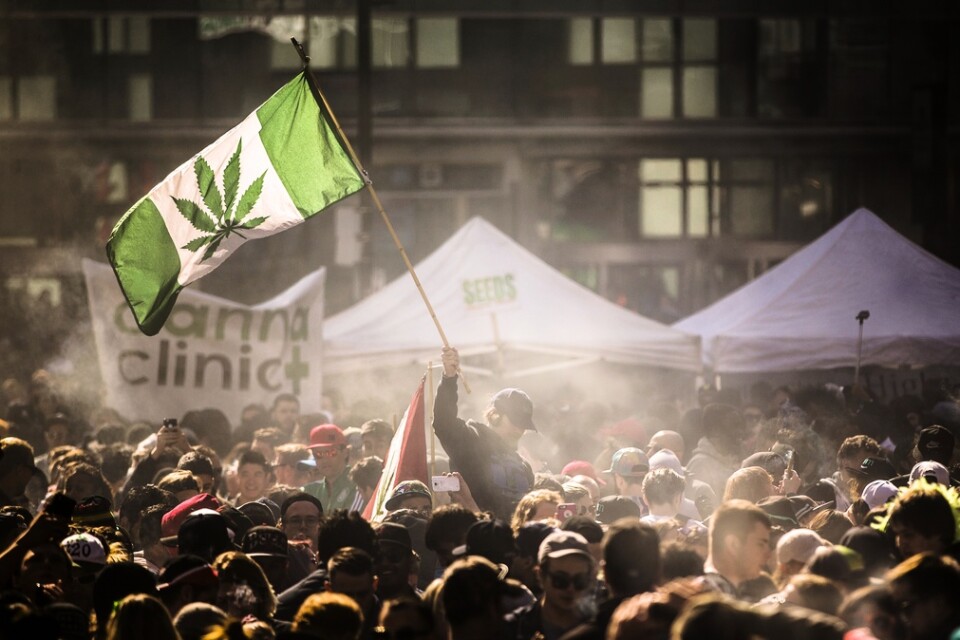 En manifestation i Kanada för legalisering av cannabis. Arkivbild.