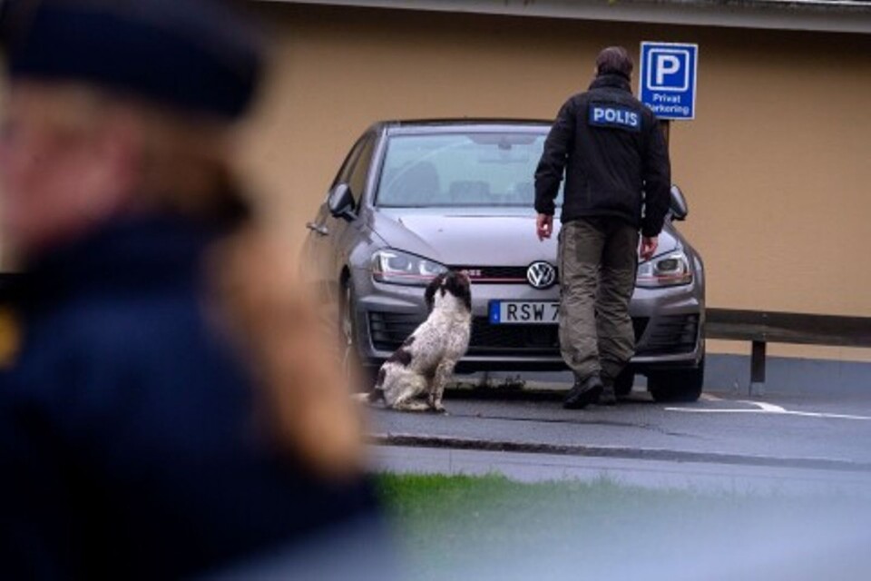 Polisen hade flera hundpatruller på plats under måndagsmorgonen.