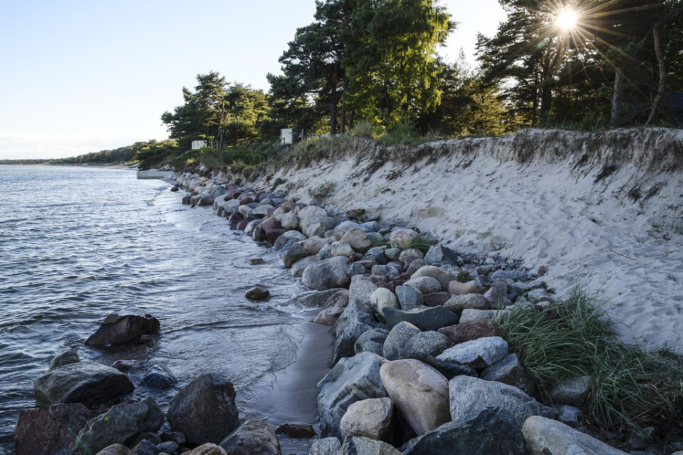 Stranderosion runt Skånes kust, här vid Äspet i Åhus, blir ett alltmer påträngande problem. Arkivbild.