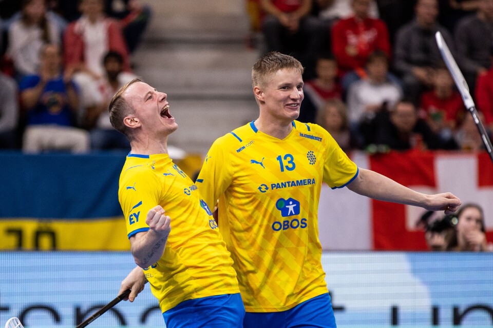 Jesper Sankell och Ludwig Persson firar efter att Sankell gjort mål i VM-finalen.