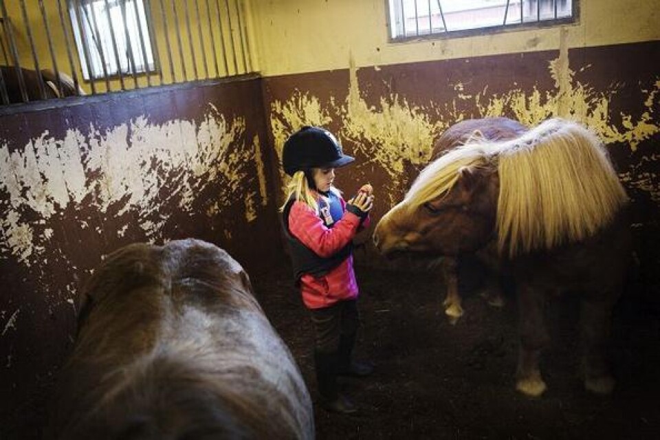 Tindra Sjöberg, 5 år har börjat rida den här terminen. Hon tycker ponnyn Jacky är snäll. Bilder: Anna Bank