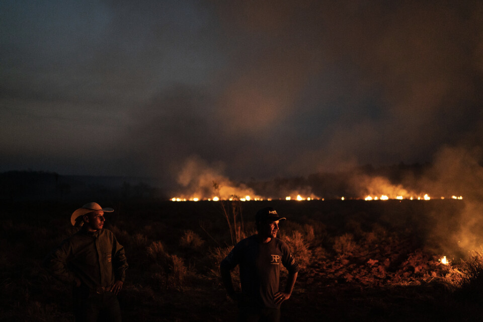 Bränder i Nova Santa Helena i Mato Grosso, Brasilien.