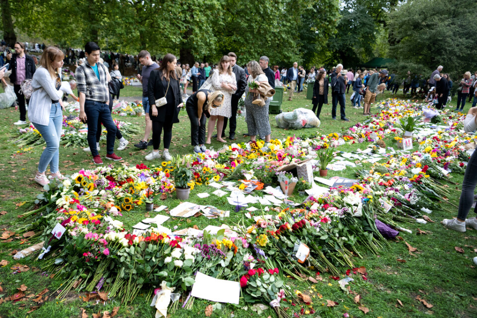Många av blommorna som lades utanför Buckingham Palace igår med anledning av drottning Elizabeths bortgång har nu flyttats till Green Park.