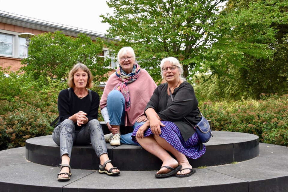 Erica Giselsson, Kerstin Gustavsson och Yvonne Borgström startade föreningen Konsthändigt i augusti. Nu vill de gå vidare och öppna ett konst- och hantverkscenter.
