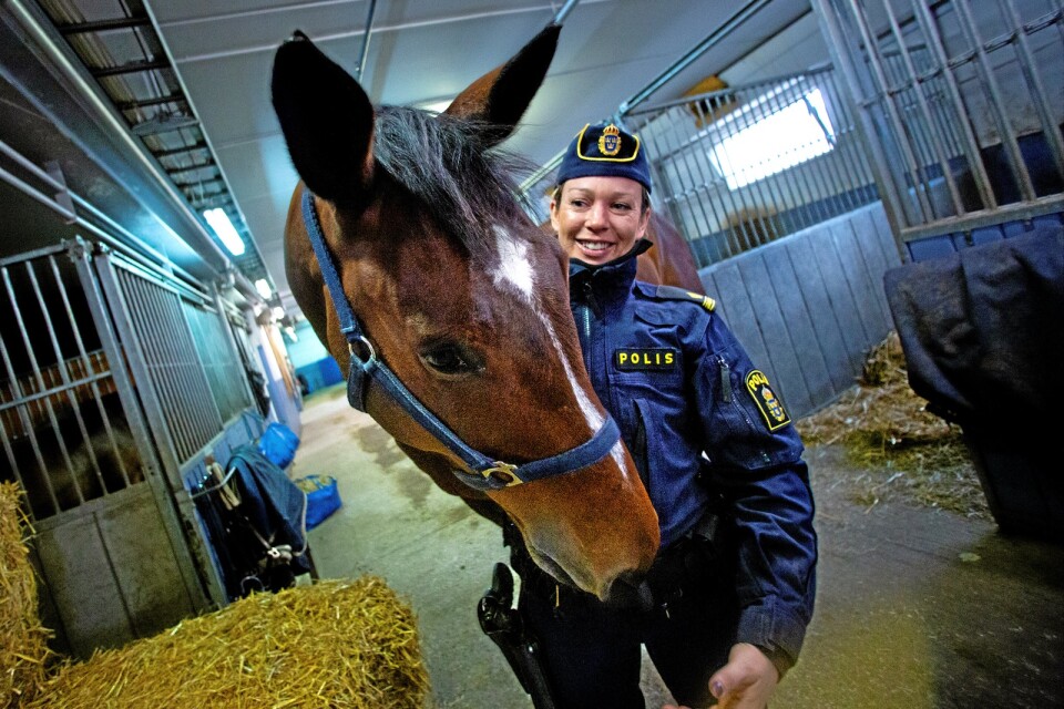 Crème har varit den ridande polisen Jessica Holmqvists häst i flera år. Hon har också en utbildningshäst som heter Frost.
