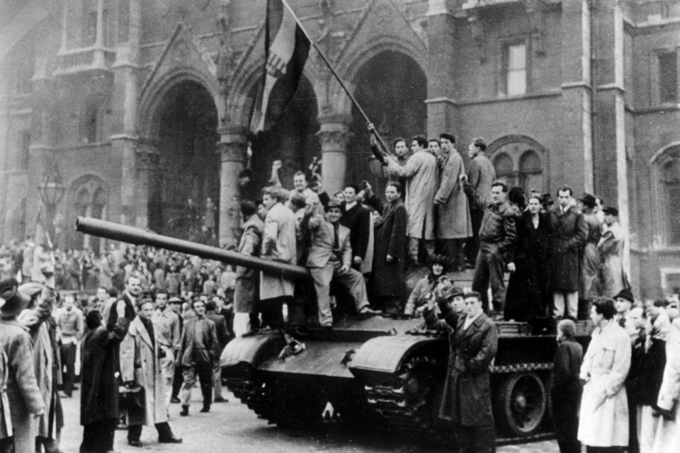 Revolten i Ungern. Ända in i det sista kämpade de ungerska frihetsmännen för sitt land. På bilden ser vi invånare från Budapest som reser den ungerska flaggan på en erövrad rysk pansarvagn.