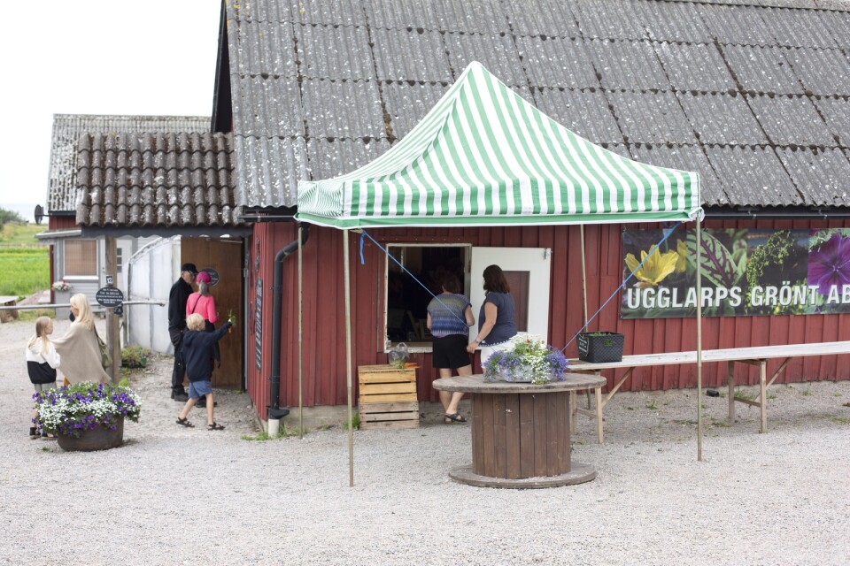 Ugglarps Grönt utanför Falkenberg har en välfylld gårdsbutik.