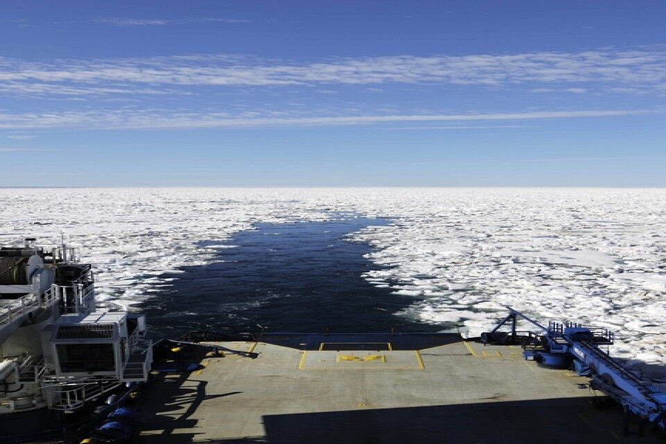 Den finländska isbrytaren MSV Nordica lämnar en isfri ränna efter sig när den går genom norra ishavet i Arktis. Redan nu är det möjligt för specialbyggda containerfartyg att gå utan isbrytare genom delar av Arktis. Arkivbild.