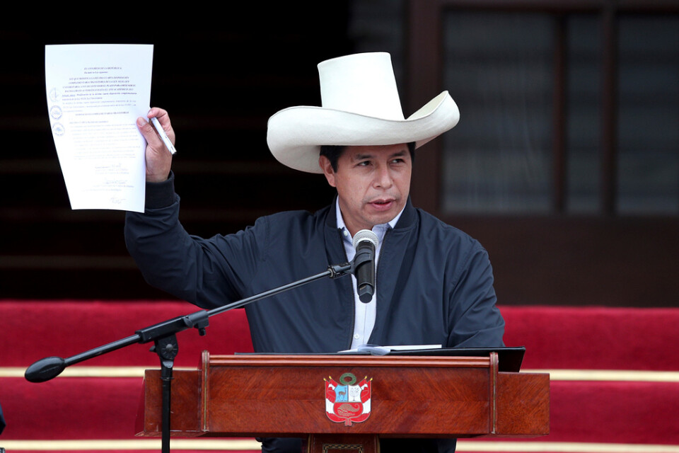 Perus president Pedro Castillo. Arkivbild.