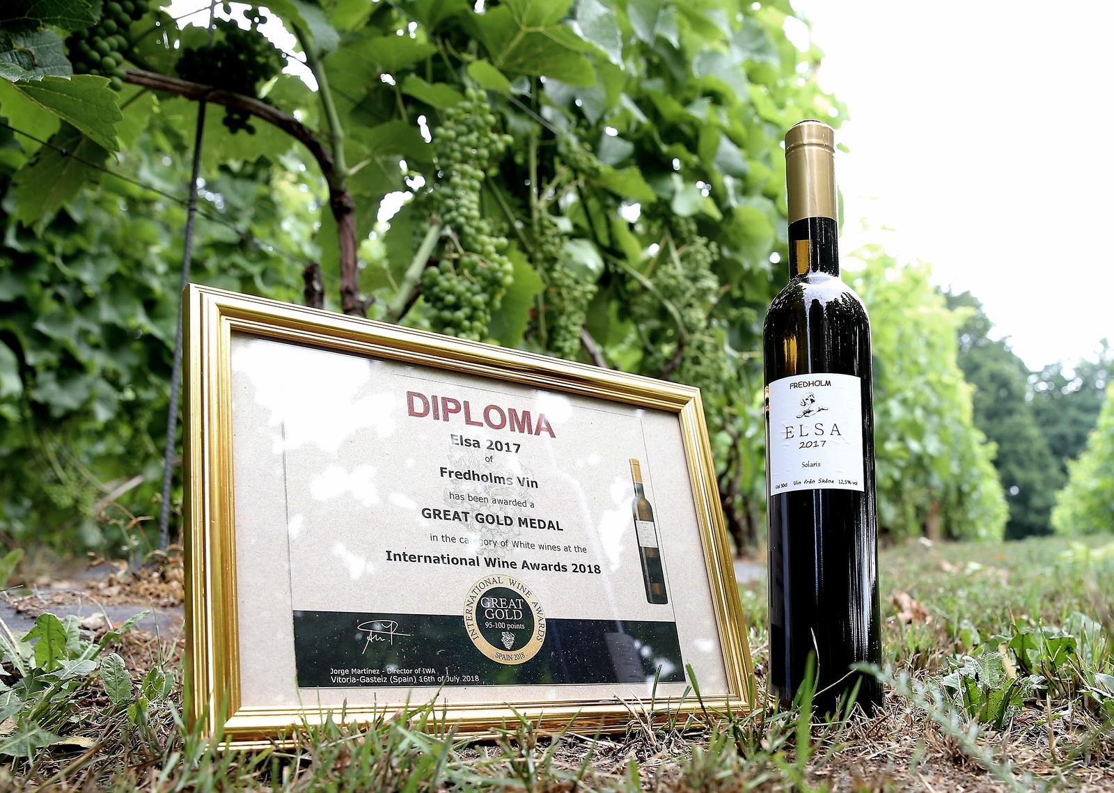 Det prisvinnande vinet ”Elsa” är döpt efter paret Fredholms tio månader gamla labrador- och golden retrivervalp. 
FOTO: STEFAN SANDSTRÖM