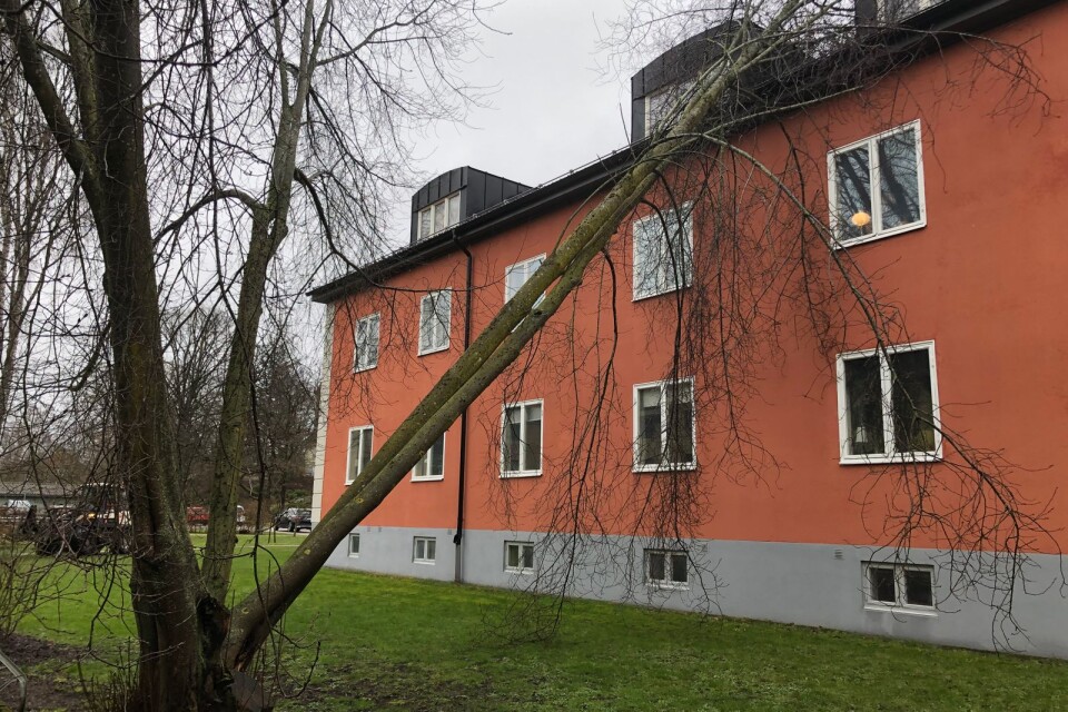 På Norra Esplanaden i Växjö har ett träd fallit på en fastighet.