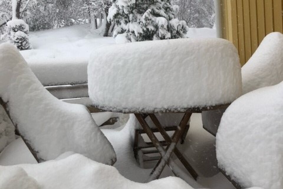 41 cm snö i Bjälebo, hälsar Sara.