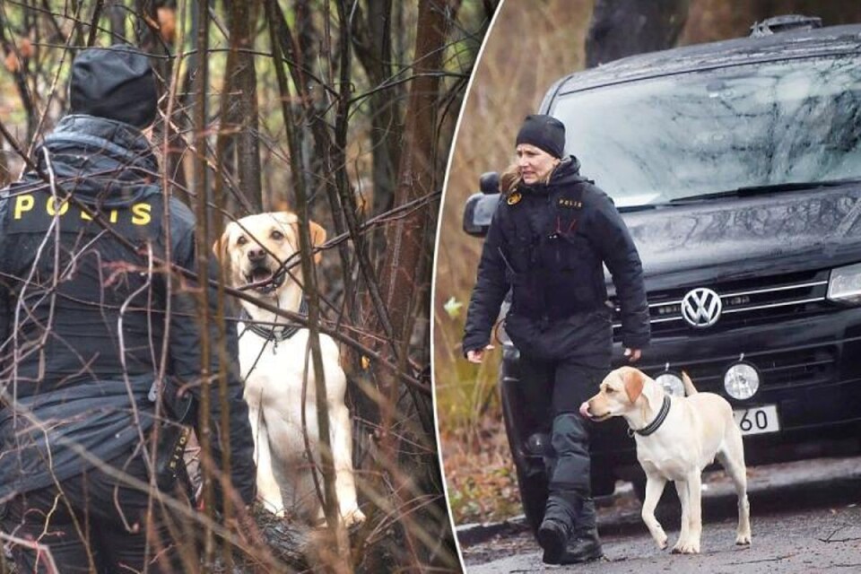 الشرطة في المكان مع كلاب مدربة بالقرب من طريق Grönbetesvägen خلال يوم الأحد.