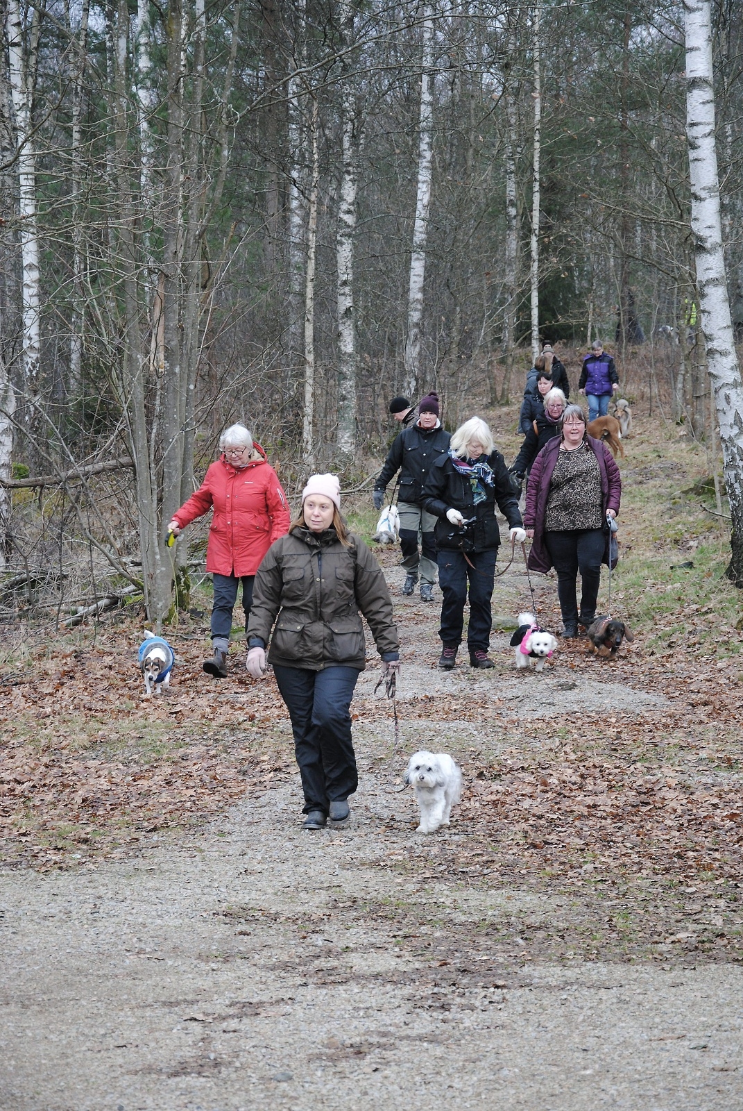 Den timmeslånga promenaden gick i terrängen kring brukshundsklubbens klubbstuga i Osby. FOTO: SUSANNE GÄRE
