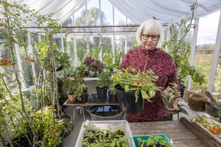 Anette har skapat sin ätliga trädgård - levererar massor av mat