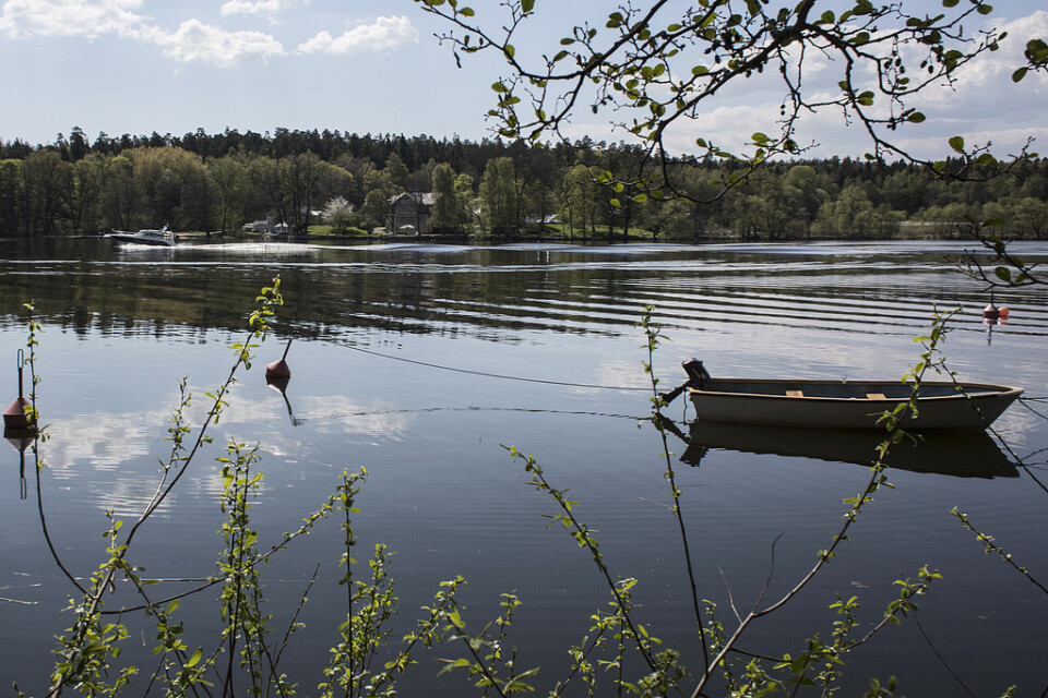 Ungefär hälften av svenskarna får sitt vatten från sjöar, som Mälaren för stockholmarna. Arkivbild.