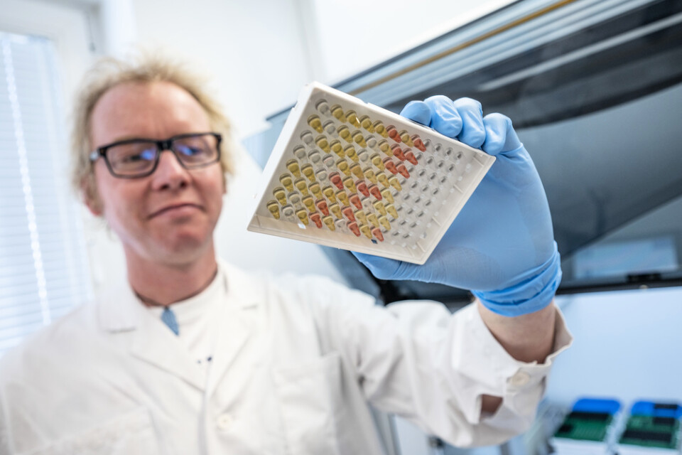 Jonas Björkman, mikrobiolog, med en testplatta med coronavirusprover.