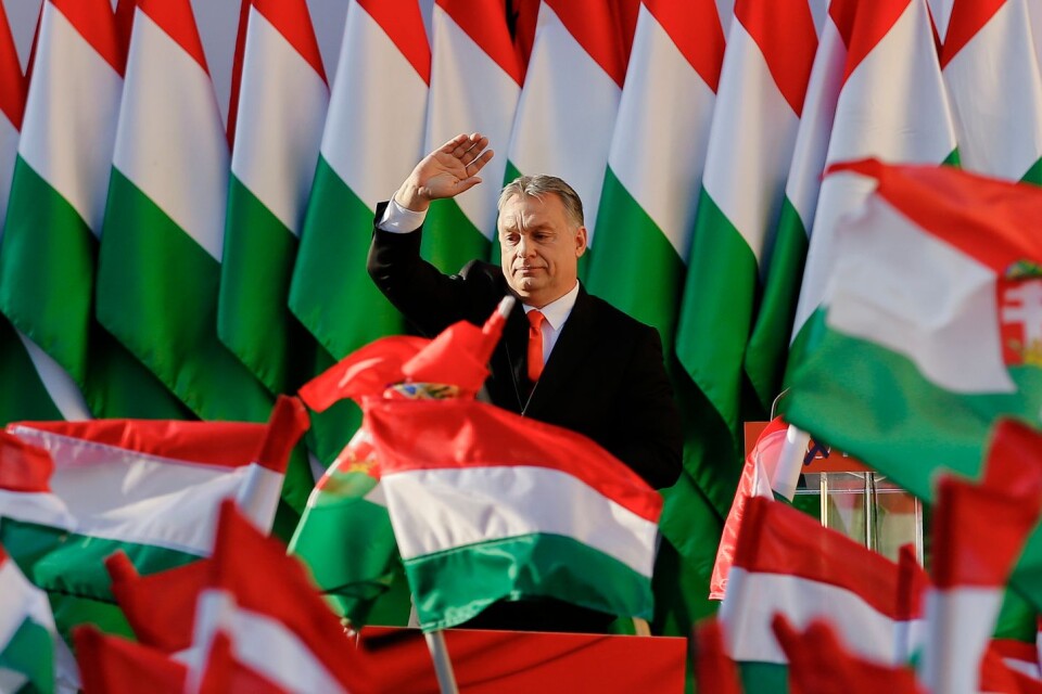 Ungerns homofobiske och högernationalistiska premiärminister Viktor Orban inskränker HBTQ-personers rättigheter. Ungern är samtidigt svenska Sverigedemokraternas förebild i utrikespolitiken.