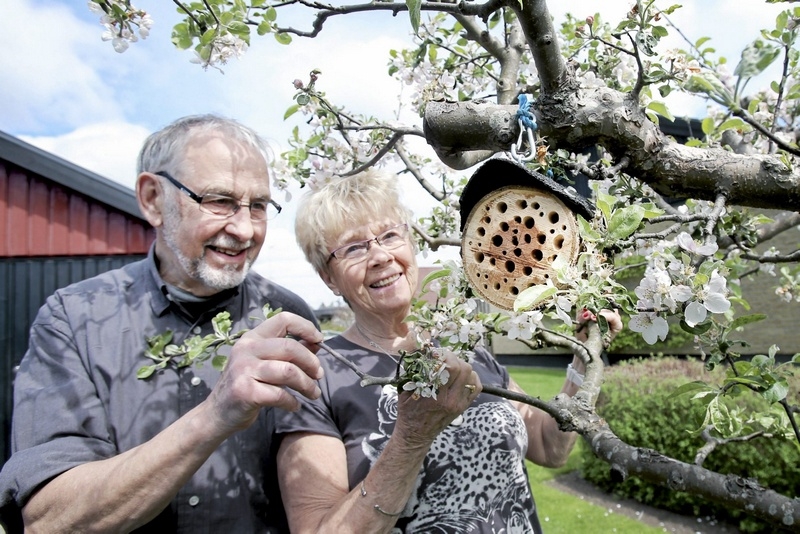 Börje Johansson och Ingegerd Nilsson värnar om biologiska mångfalden i sin trädgård och har satt upp en holk i äppelträdet för binas skull. Men det är än så länge obebott. Foto: Stefan Sandström
