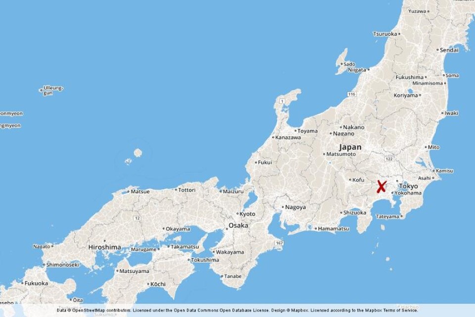 Minst 15 personer har knivhuggits till döds på en institution för funktionshindrade i Japan, uppger radio- och tv-bolaget NHK. Knivdådet inträffade i staden Sagamihara väster om huvudstaden Tokyo. En man har gripits för dådet, då ytterligare 45 personer