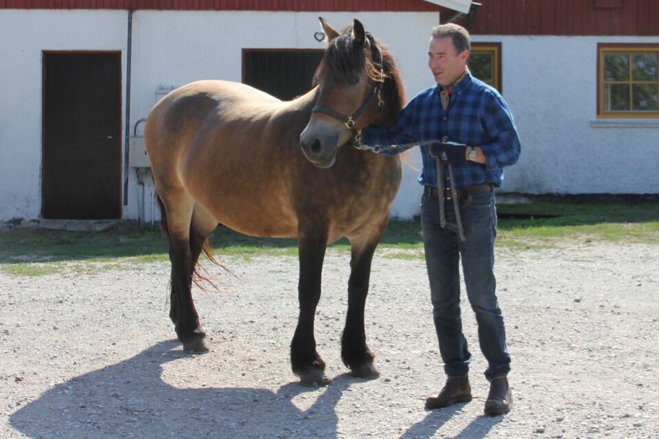 Anders Pommer med hästen Donna.