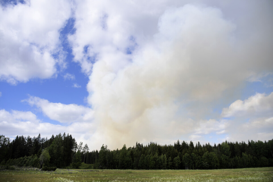 Stora Enso pausar arbetet med skogsmaskiner i delar av Mellansverige på grund av risk för skogsbränder. Arkivbild.