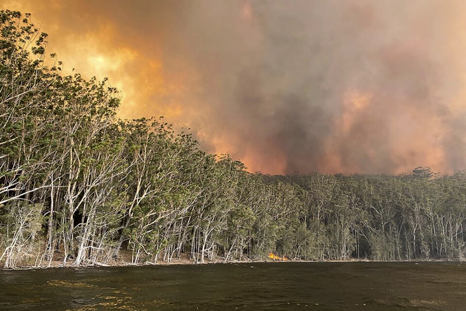Skogarna kring orten lake Conjola, drygt 20 mil söder om Sydney, i brand.